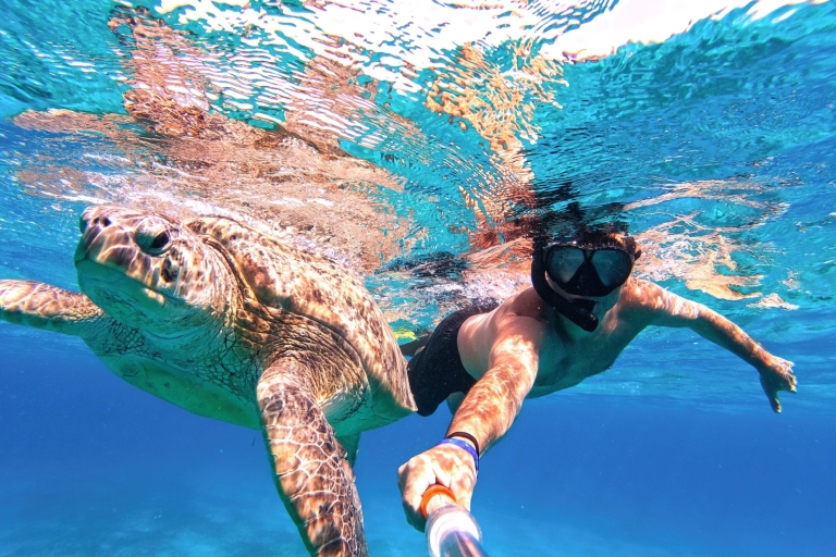 Marsa Alam: snorkelen met zeekoeien en schildpadden Marsa Mubarak