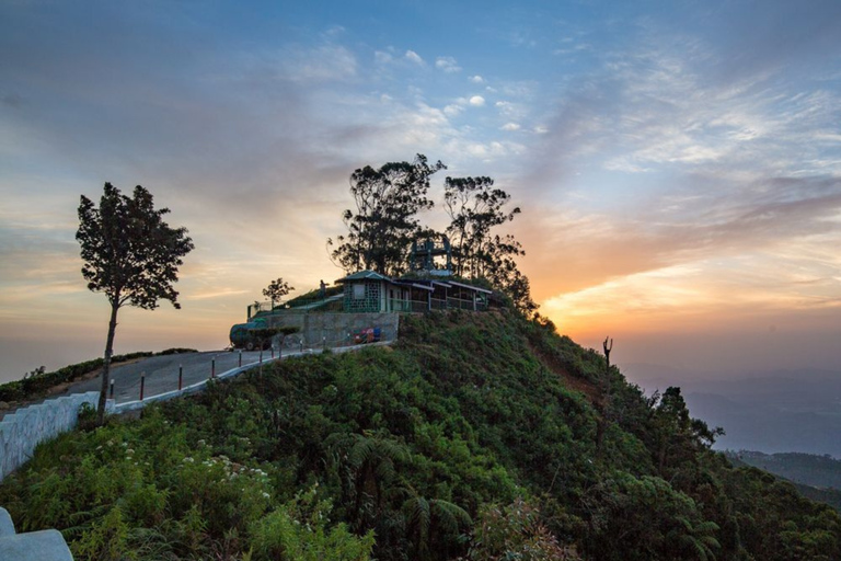 Lipton Seat Legacy: Tuk-Tuk & Train Tea Trails Tour