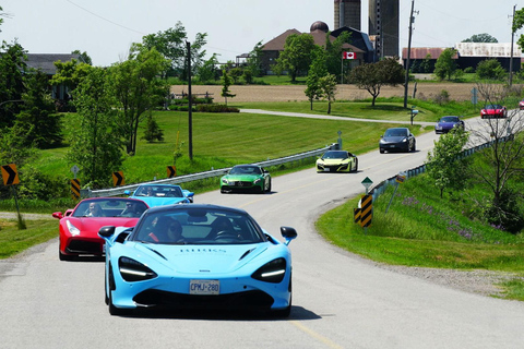 Hamilton Mountain: 3 Hour Exotic Car Tour with 5 Supercars