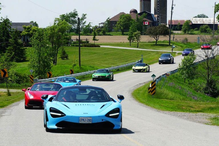 Hamilton Mountain: 3 Hour Exotic Car Tour with 5 Supercars