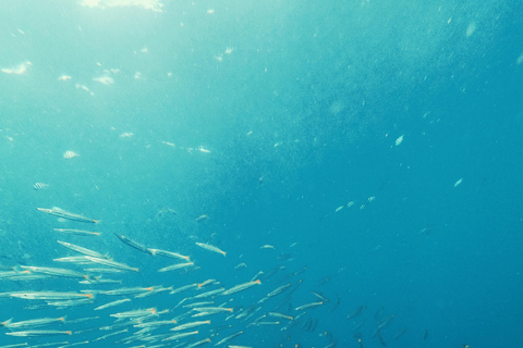 EXPEDIÇÃO DE 3 DIAS E 2 NOITES DE EXCURSÃO PELAS ILHAS COM SNORKEL