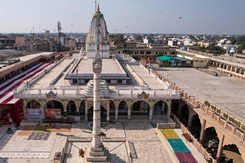 Delhi: 8-Day Royal Cities Tour with Alwar & Wildlife Royal Cities Circuit with Alwar – Palaces & Wildlife