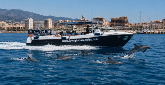 Fuengirola: Fantastic Dolphin Watching Yacht Tour with Drink