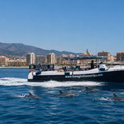 Fuengirola: Fantastic Dolphin Watching Yacht Tour with Drink