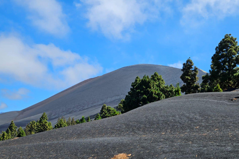 La Palma: Tour naar de nieuwe vulkaan Tajogaite 360º.Ophalen in Santa Cruz de La Palma