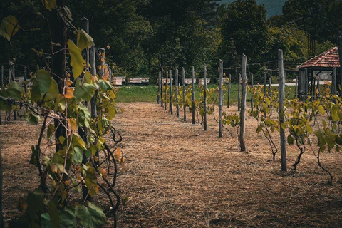 Ijevan: Visita à fábrica de vinho e aguardente com prova