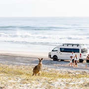From Brisbane: Bribie Island Day Trip and 4x4 tour