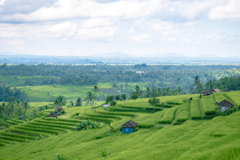 North of Bali: Private Tour with UNESCO World Heritage site Private Tour : Ticket Excluded