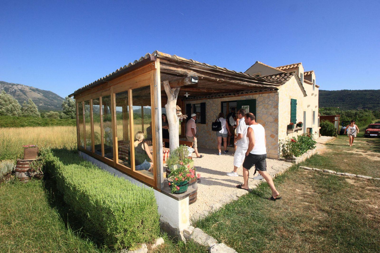 From Dubrovnik Konavle wine tasting tour and Cavtat
