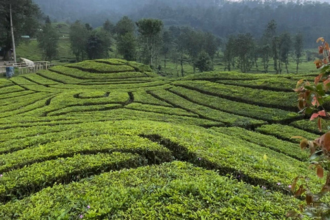 Jakarta : Volcano, Suspension Bridge and Hot Spring