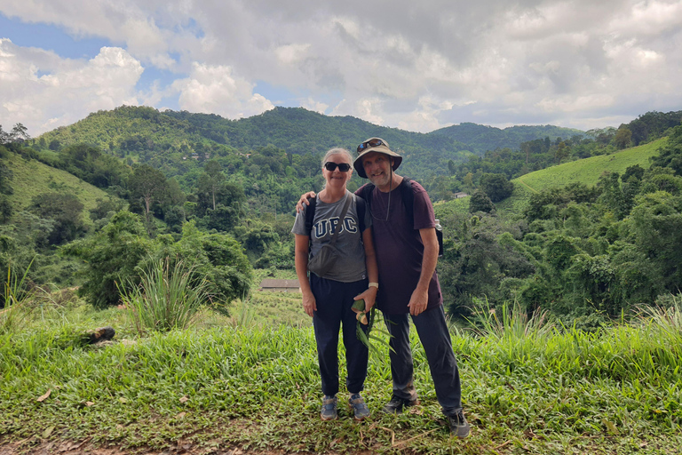 Chiang Rai: 2-Day Jungle Trek only walk with Waterfall