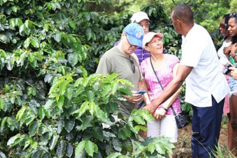 Passeio de destaque em Montego Bay