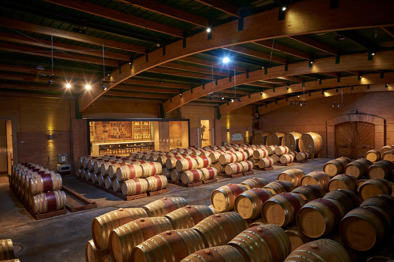 Santiago: Casablanca Wine Tour — 2 Award-Winning Wineries