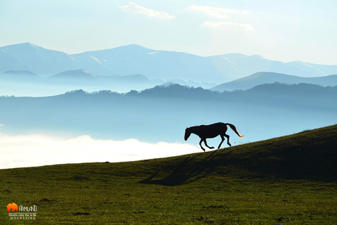 Dilijan National Park tours and off roading