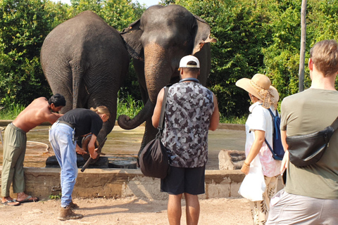 Kulen Elephant Forest & Tonlesap Lake Kulen Elephant Forest by Sharing Group Tours