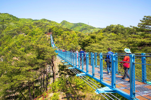From Seoul: Wonju Nature Day Trip, Ginkgo Tree & Cable Car A. [Spring] Sogeumsan Cable Car & Cherry Blossom Tunnel Tour