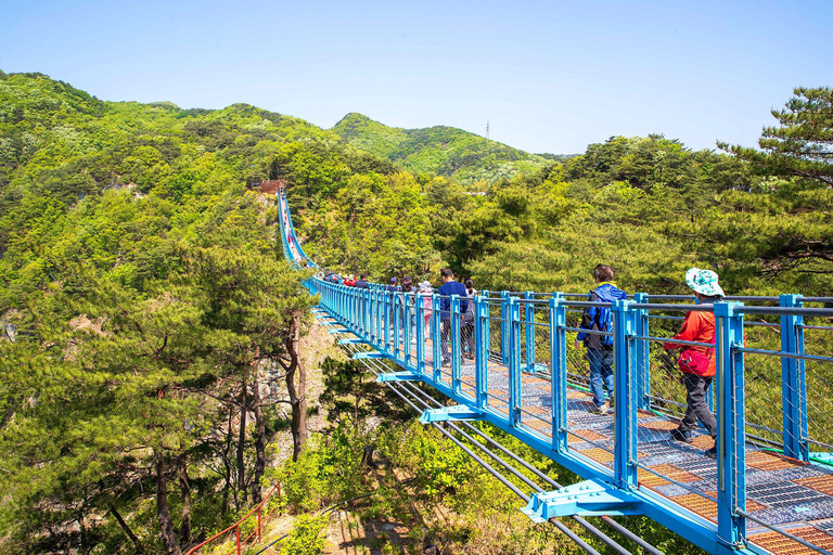 From Seoul: Wonju Nature Day Trip, Ginkgo Tree & Cable Car A. [Spring] Sogeumsan Cable Car & Cherry Blossom Tunnel Tour