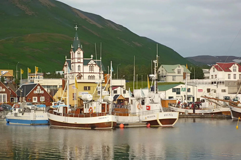 Private Diamond Circle Tour from Akureyri