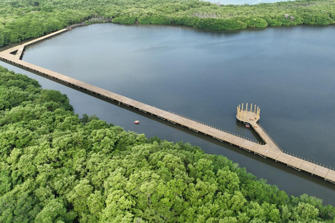 Les merveilles naturelles de Barranquilla : À la découverte des joyaux cachés