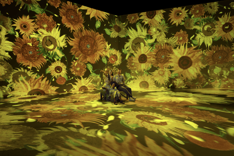 Nantes: Tickets for Van Gogh: The Immersive Experience