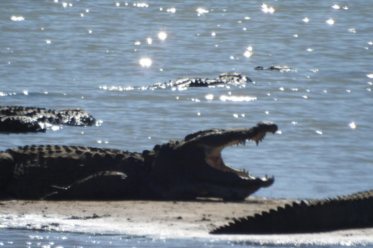 From Ella & Yala Safari and drop Waligama, Mirissa, Tangalle Yala Leopard and Elephants safari Full day