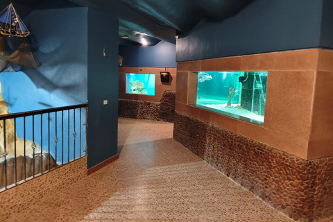 Hurghada: Hurghada City Tour with optional Red Sea Aquarium Group Hurghada City Tour
