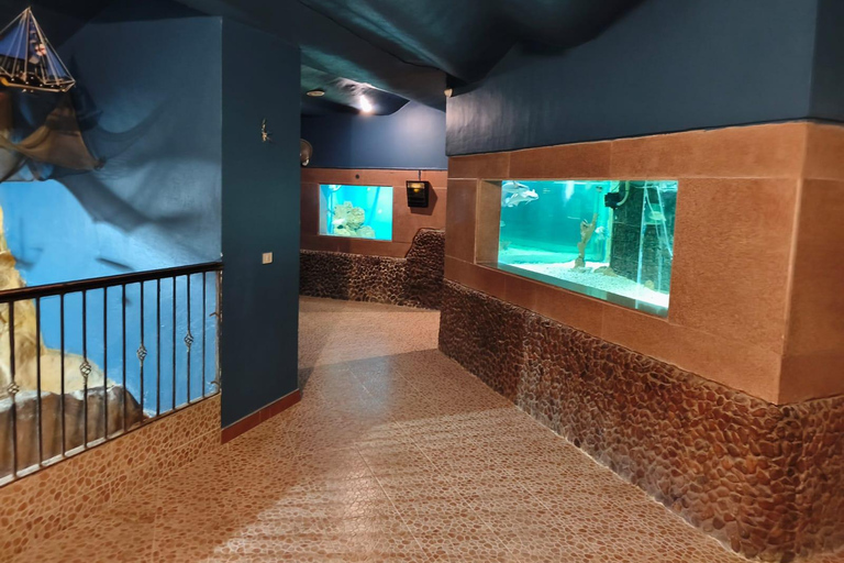 Hurghada: Hurghada City Tour with optional Red Sea Aquarium Group Hurghada City Tour