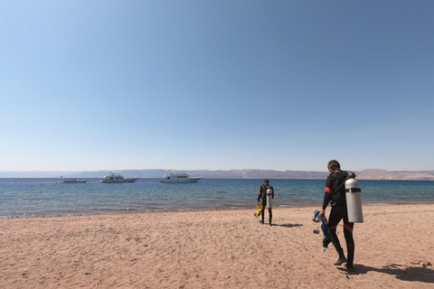 Hurghada: 2 Islands, Diving, Dolphin & Snorkel Yacht Trip From Makadi Bay, El Gouna & Sahl Hasheesh: 2 Islands,Diving