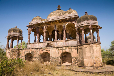 Z Delhi: 4-dniowa wycieczka z przewodnikiem do Agry, Ranthambore i JaipuruWycieczka z 4-gwiazdkowym hotelem i safari z tygrysami