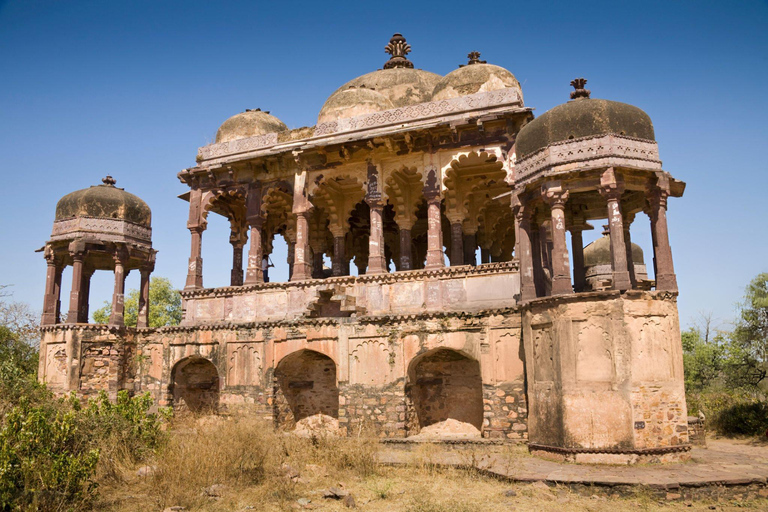 Z Delhi: 4-dniowa wycieczka z przewodnikiem do Agry, Ranthambore i JaipuruWycieczka bez zakwaterowania w hotelu