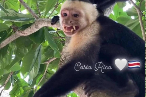 Jaco: Snorkeling Tour with White Sand Beach Visit