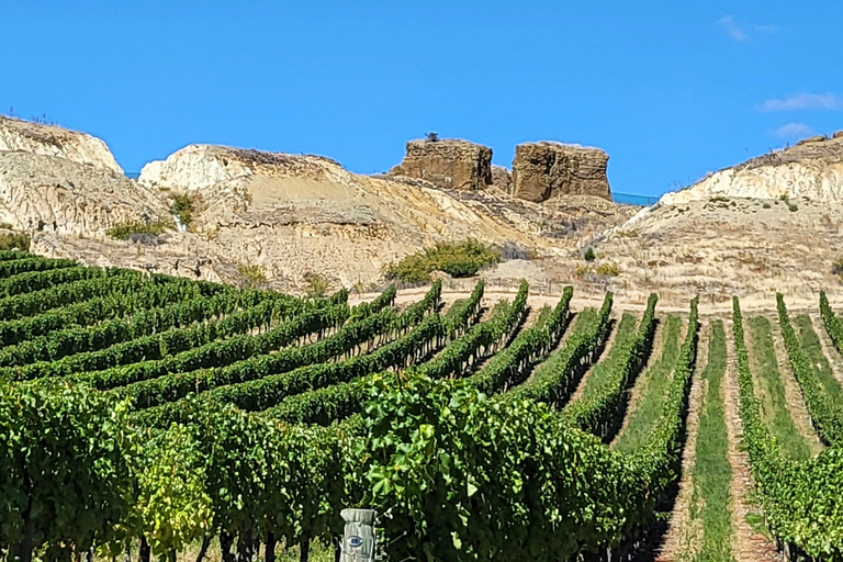 Queenstown: Premium Full-Day Central Otago Wine Tasting Tour