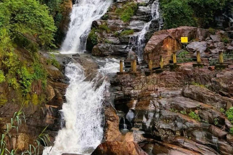 Ella: Ella Day Tour NineArch Bridge with Expert Female Guide Ella tour from Colombo, Negombo, Mt lavinia, Kalutara