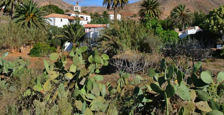 Fuerteventura: Øya med det beste stedet