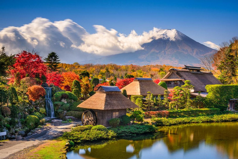 Tokyo: Mt. Fuji Private Scenic Tour with Customizable Stops