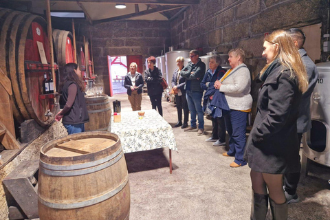 DOURO VALLEY: Premium Wine Tour, Cruise & Winery´s Lunch Shared Group Tour with Hotel Pick-up and Drop-Off