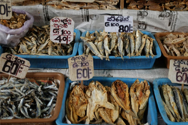 Negombo: Private City Tour with Ayurvedic Massage & Lunch