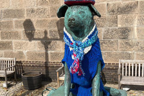 أوتارو: جولة مدينة بصحبة مرشد (سوق السمك، ممشى القناة والمزيد)أوتارو: جولة مدينة بصحبة مرشد (سوق الس