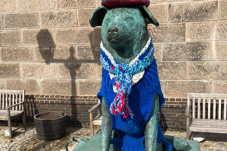 أوتارو: جولة مدينة بصحبة مرشد (سوق السمك، ممشى القناة والمزيد)أوتارو: جولة مدينة بصحبة مرشد (سوق الس