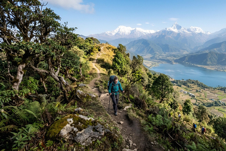 Pokhara Scenic Naudanda–Sarangkot Day Hike