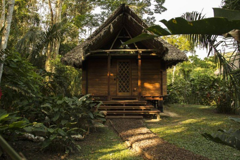 Peru: 15-dagars tur längs kusten, Sierra och AmazonasPeru: 15-dagars tur längs kusten, i Sierra och Amazonas