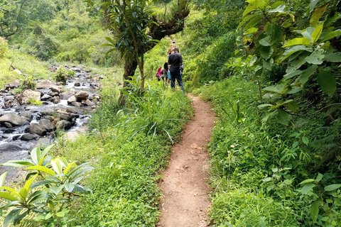 From Moshi: Escape to Materuni Waterfall, Coffee with Lunch