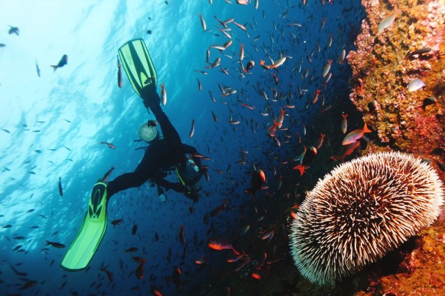 Visit Discover Scuba Diving in Boracay in Boracay