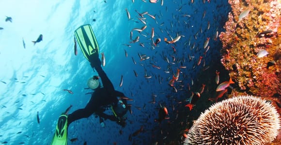 Discover Scuba Diving in Boracay
