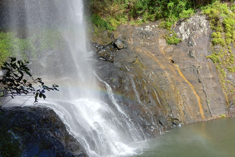 Tamarind Falls 7 Waterfalls (7 Cascades) por Mystik AdventureMeio dia em Tamarind Falls 7 Waterfalls pela Mystik Adventure