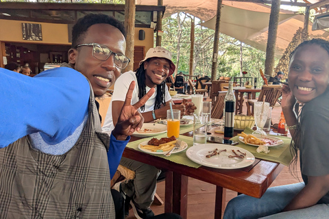 Karura Forest walking tour with nature and waterfalls.