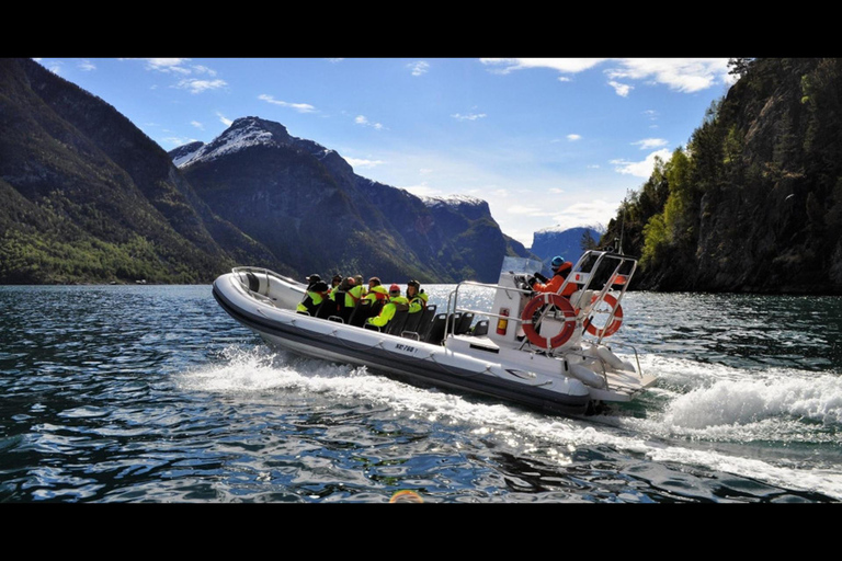 Private day tour to Flåm&RIB Sognefjord Safari&Flåm Railway