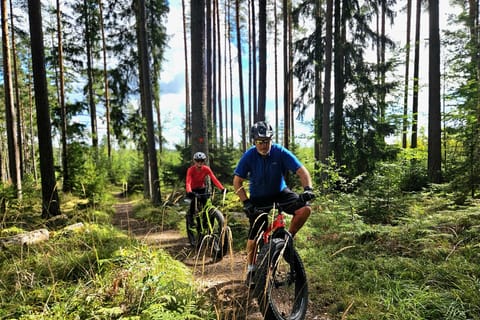 Stockholm: Fat Bike Waldabenteuer mit Mittagessen und Sauna