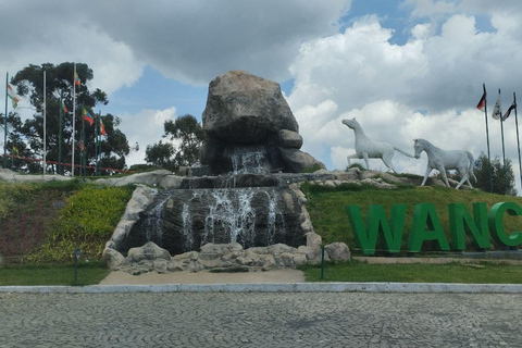 من أديس أبابا: رحلة نهارية من أديس أبابا إلى بحيرة ونشي كريتر مع وجبة غداء