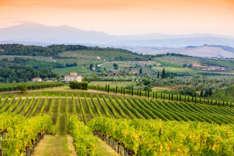 Toscana: tour de un día en grupo pequeño por vino y comida desde Florencia